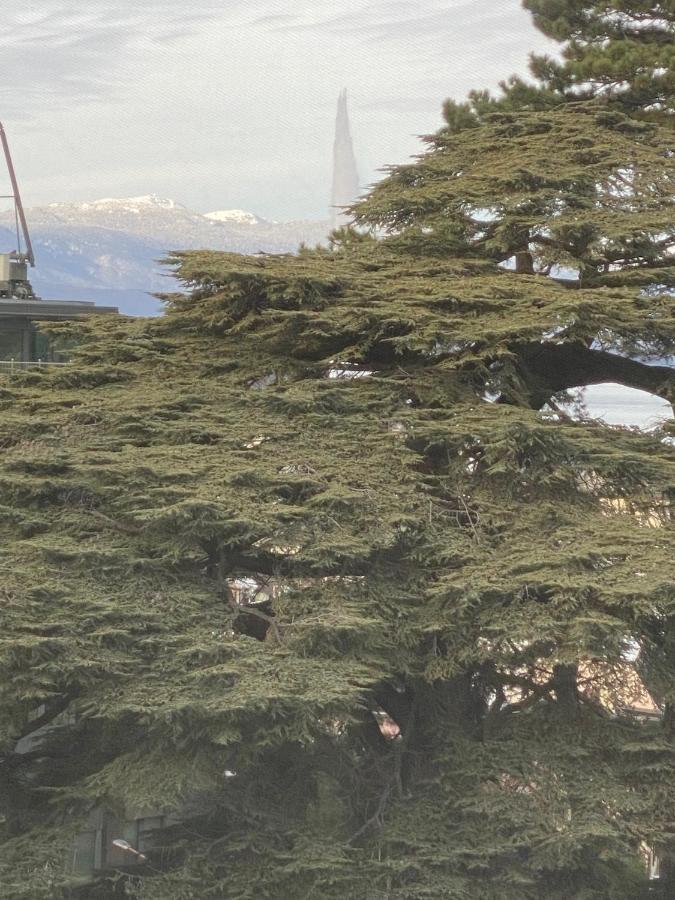 Geneve, Plein Centre,Belle Vue Lac, Splendide Et Grand Appartement Экстерьер фото